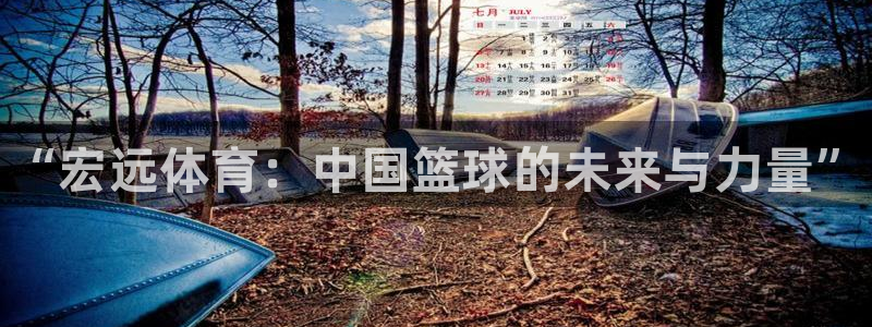MK体育官网下载平台注册要钱吗是真的吗：“宏远体育：