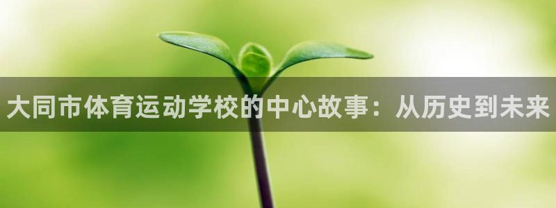 MK体育官网下载平台假的吗是真的吗吗：大同市体育运动学校的中
