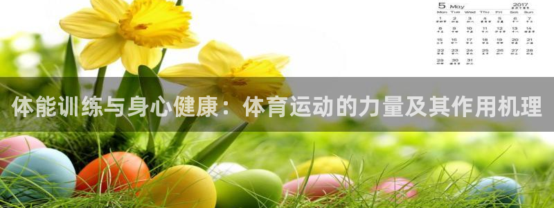 MK体育官方正版app集团官网网址：体能训练与身心健康：体育