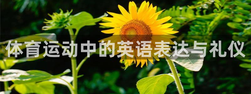 MK体育官网下载注册：体育运动中的英语表达与礼仪