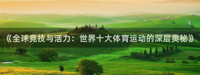 海南MK体育官网下载发展怎么样：《全球竞技与活力：世