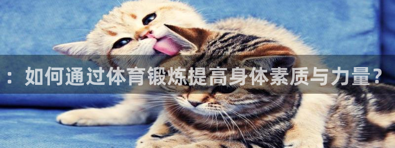 MK体育官方正版app集团官网首页网址：：如何通过体育锻炼提