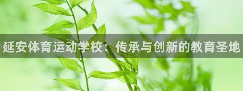 MK体育官方正版app娱乐代理怎么样：延安体育运动学