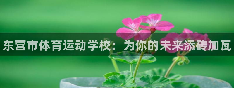 MK体育官方正版app娱乐：东营市体育运动学校：为你的未来添
