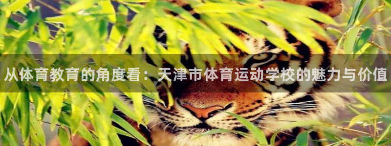 MK体育官方正版app开户：从体育教育的角度看：天津