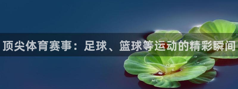 MK体育官方正版app集团官网首页：顶尖体育赛事：足
