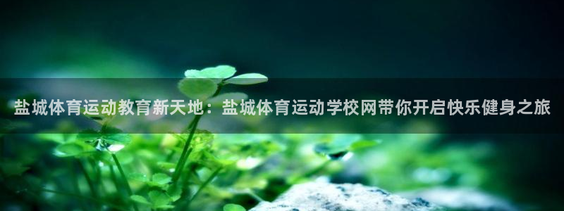 MK体育官网下载平台APP：盐城体育运动教育新天地：盐城体育