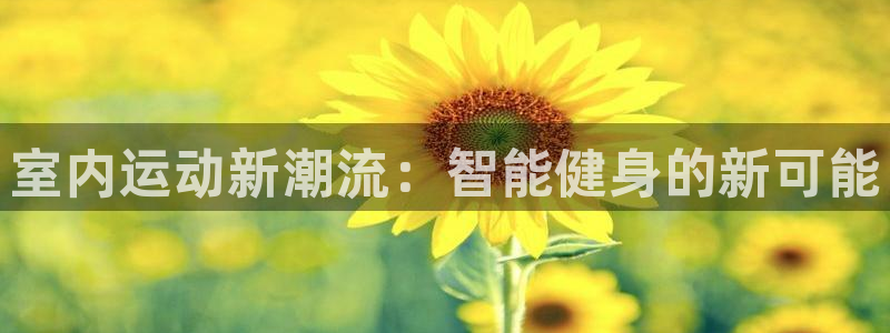 海南MK体育官网下载：室内运动新潮流：智能健身的新可