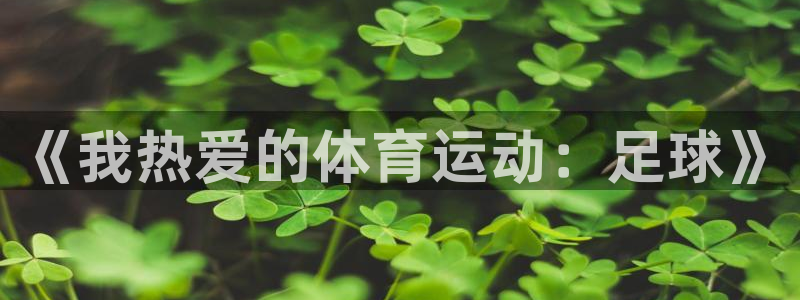 MK体育官网下载招商电话地址：《我热爱的体育运动：足