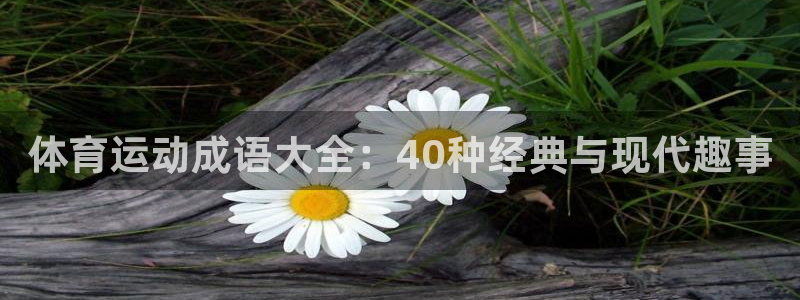 MK体育官方正版app娱乐下载：体育运动成语大全：4