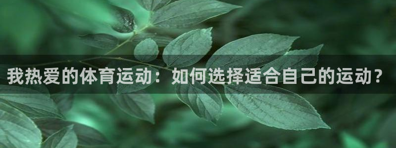MK体育官方正版app新能源：我热爱的体育运动：如何