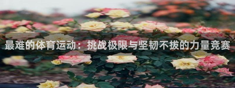 MK体育官方正版app集团E.ON：最难的体育运动：