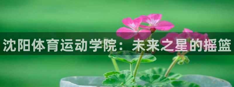 MK体育官方正版app集团官网首页：沈阳体育运动学院：未来之