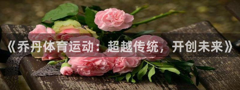 MK体育官网下载平台是正规平台吗安全吗：《乔丹体育运动：超越