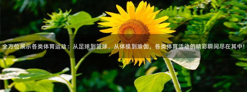 MK体育官网下载软件