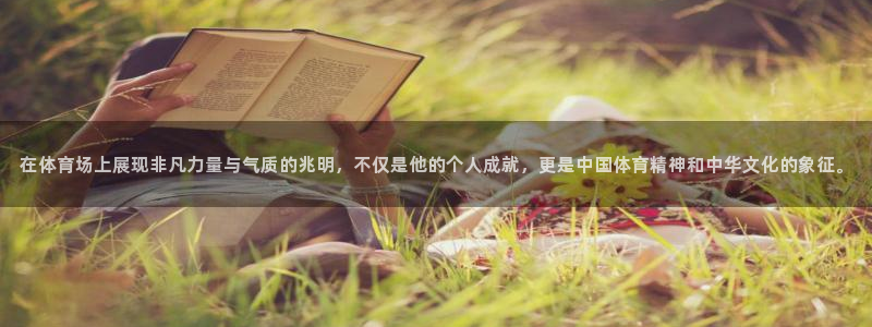 MK体育官网下载是干嘛的公司