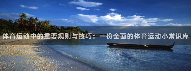 MK体育官方正版app官方：体育运动中的重要规则与技巧：一份