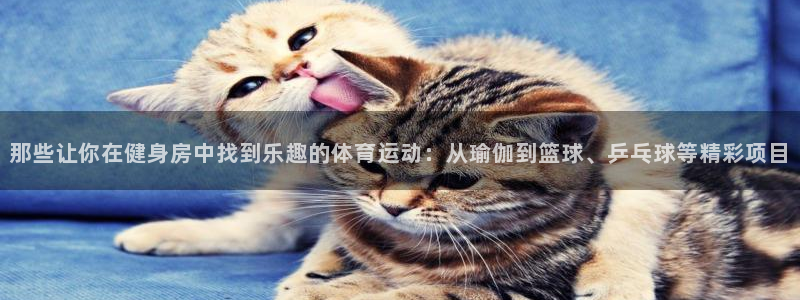 MK体育官方正版app娱乐下载:那些让你在健身房中找到乐趣的